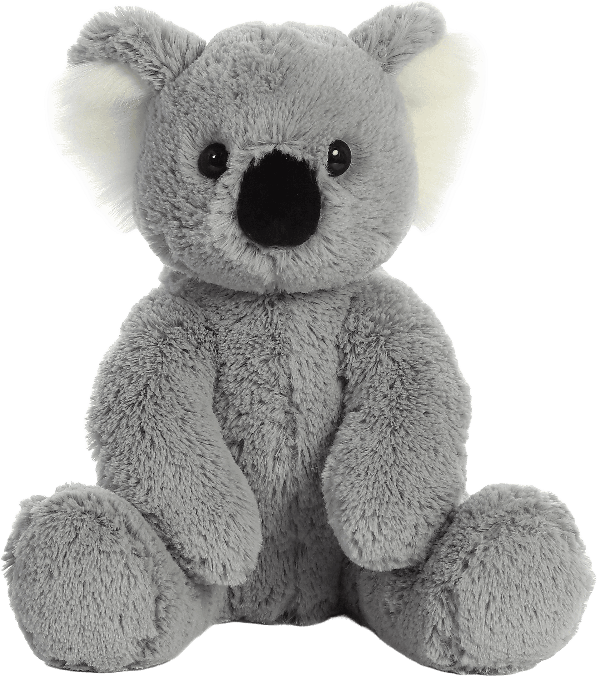 The Original Koala plush teddy